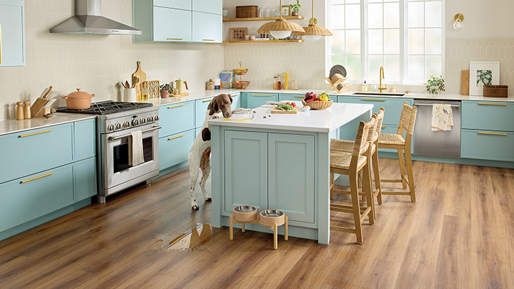 Pet households are reshaping flooring performance, store displays and category growth – April 2026 Pet households are reshaping flooring performance, store displays and category growth – April 2026